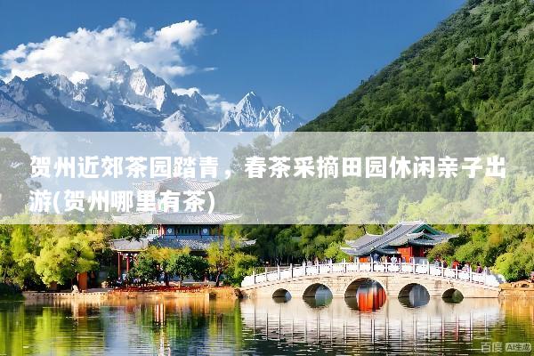 贺州近郊茶园踏青，春茶采摘田园休闲亲子出游(贺州哪里有茶)
