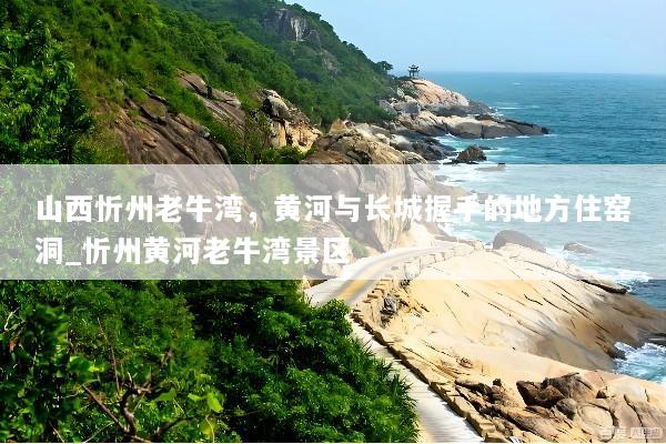 山西忻州老牛湾，黄河与长城握手的地方住窑洞_忻州黄河老牛湾景区