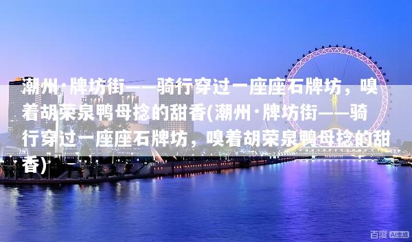 潮州·牌坊街——骑行穿过一座座石牌坊，嗅着胡荣泉鸭母捻的甜香(潮州·牌坊街——骑行穿过一座座石牌坊，嗅着胡荣泉鸭母捻的甜香)