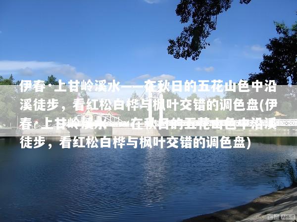 伊春·上甘岭溪水——在秋日的五花山色中沿溪徒步，看红松白桦与枫叶交错的调色盘(伊春·上甘岭溪水——在秋日的五花山色中沿溪徒步，看红松白桦与枫叶交错的调色盘)