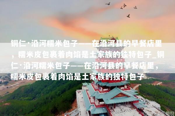 铜仁·沿河糯米包子——在沿河县的早餐店里，糯米皮包裹着肉馅是土家族的独特包子_铜仁·沿河糯米包子——在沿河县的早餐店里，糯米皮包裹着肉馅是土家族的独特包子