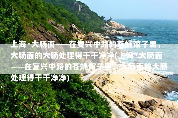 上海·大肠面——在复兴中路的苍蝇馆子里，大肠面的大肠处理得干干净净(上海·大肠面——在复兴中路的苍蝇馆子里，大肠面的大肠处理得干干净净)