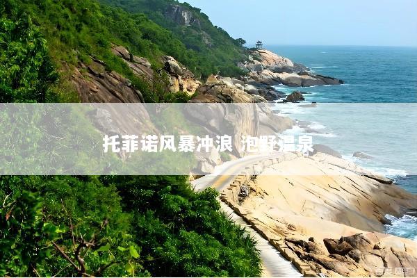 托菲诺风暴冲浪 泡野温泉