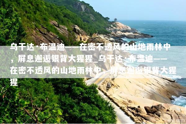 乌干达·布温迪——在密不透风的山地雨林中，屏息邂逅银背大猩猩_乌干达·布温迪——在密不透风的山地雨林中，屏息邂逅银背大猩猩