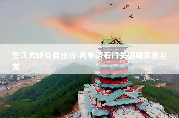 怒江大峡谷自由行 丙中洛石门关俯瞰黄色巨龙