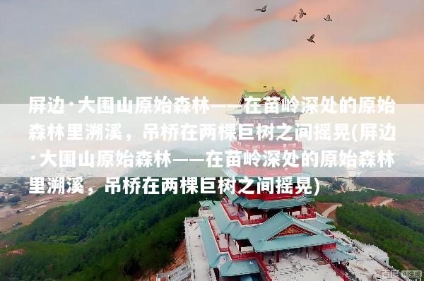 屏边·大围山原始森林——在苗岭深处的原始森林里溯溪，吊桥在两棵巨树之间摇晃(屏边·大围山原始森林——在苗岭深处的原始森林里溯溪，吊桥在两棵巨树之间摇晃)