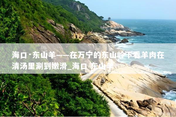 海口·东山羊——在万宁的东山岭下看羊肉在清汤里涮到嫩滑_海口 东山羊