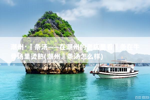 潮州·粿条汤——在潮州的老店里看粿条在牛骨汤里烫熟(潮州粿条汤怎么样)