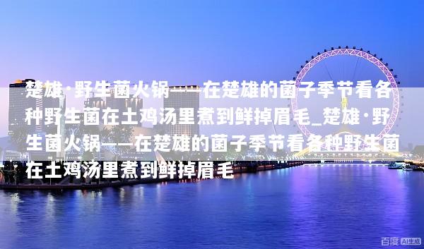 楚雄·野生菌火锅——在楚雄的菌子季节看各种野生菌在土鸡汤里煮到鲜掉眉毛_楚雄·野生菌火锅——在楚雄的菌子季节看各种野生菌在土鸡汤里煮到鲜掉眉毛